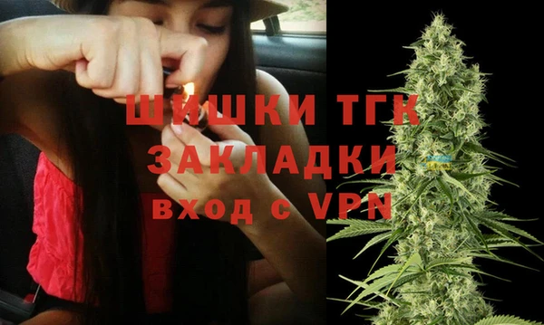 круглые Вяземский