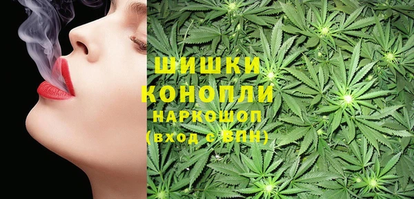 стаф Вязники